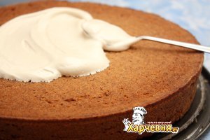 ��������� �����