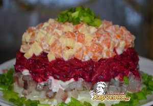 ����� �����������