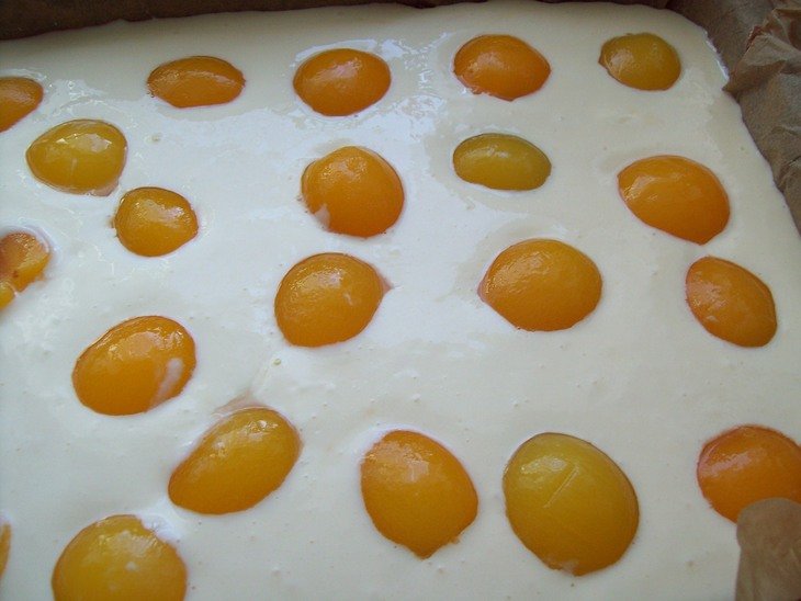 ����������-���������� ����� � �������� � �������� 