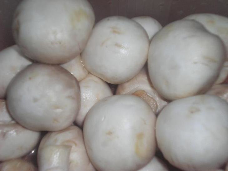 ��� ����������� ����������.