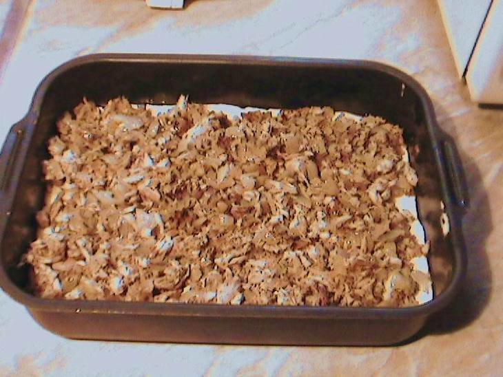 ������ �����-���������