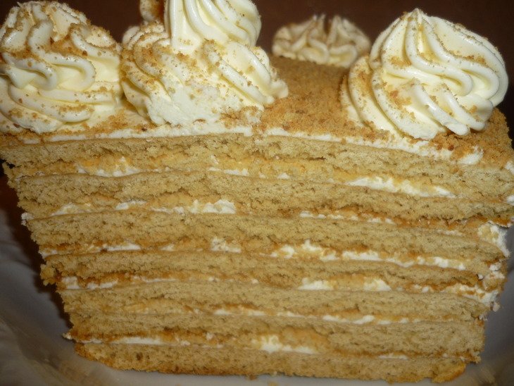 ���� �������